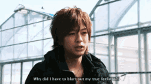 shohei miura why did i have to blurt blurt true feelings japanese