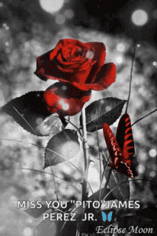 Butterfly Roses GIF - Butterfly Roses Red GIFs