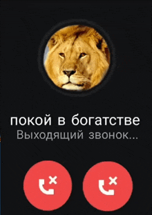 a phone screen with a picture of a lion and the words " покой в богатстве " below it