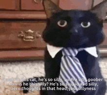 a black cat wearing a tie and collar says look at this cat he 's so silly such a silly goober