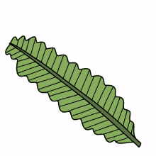 leaf rafs