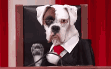 Judge Dog Clap GIF - Judge Dog Clap Applause GIFs
