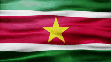 Suriname Flag Gif GIF