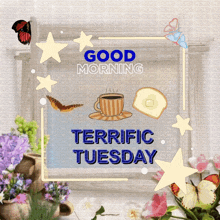 Terrific Tuesday GIF - Terrific Tuesday GIFs