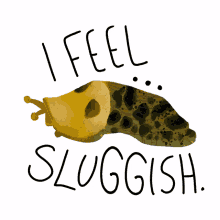 of slug