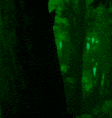 a silhouette of a person in a dark forest