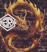 a picture of a dragon with the letter r in the center