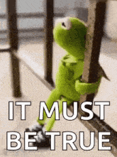 kermit the frog is sitting on a railing holding onto a railing and says `` it must be true '' .