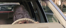 Old Lady Driving GIF