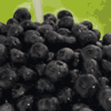 Blueberries Fruits GIF - Blueberries Berries Fruits GIFs