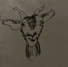 a black and white drawing of a goat 's head with horns and a smile