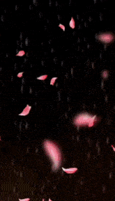 a poster that says when a goddess fell from the skies on it