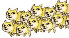 Doge Dogs Running GIF - Doge Dogs Running Running Dogs GIFs
