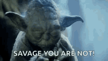 Yoda You Are Not GIF - Yoda You Are Not Savage GIFs