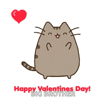 Happy Valentines Day Cat GIF - Happy Valentines Day Cat Cute GIFs