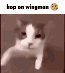 Cs Go Wingman GIF - Cs Go Wingman Hop On GIFs