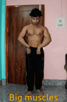 Body Building Big Muscles GIF