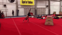 Gymnastic People Are Awesome GIF - Gymnastic People Are Awesome Flip GIFs
