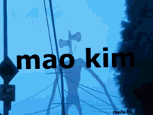 Mao Kim GIF