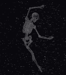 Love Skeleton GIF - Love Skeleton Stars GIFs
