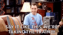 Sheldon Cooper Big Bang Theory GIF