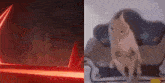 a cat is sitting on a couch next to a red light and a cat is standing on its hind legs .