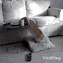 Pulling A Plate Viralhog GIF - Pulling A Plate Viralhog Pulls A Dish GIFs