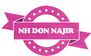 Najir Sticker - Najir Stickers