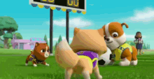 puppies soccer