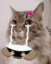 GIF