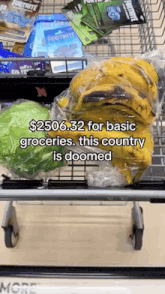 a shopping cart filled with bananas and lettuce with a caption that says $ 2506.32 for basic groceries