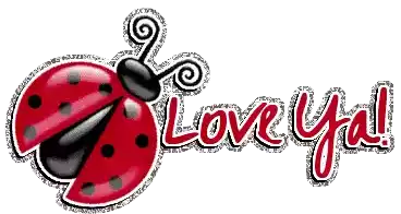 Love Ya Ladybird Sticker - Love Ya Ladybird Ladybug Stickers