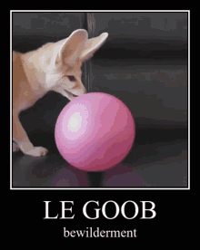 Le Goob Pop Balloon GIF - Le Goob Pop Balloon Bewilderment GIFs