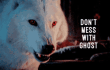 Dont Mess With The Ghost Ghost GIF