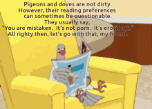 Pigeon Dove GIF - Pigeon Dove Porn GIFs