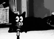 a black cat with big eyes is laying on the floor next to a doll .