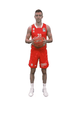 fun bbl euroleague guard fcbb fun bbl euroleague guard fcbb