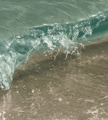 a bottle of perfume sits on a stump on a sandy beach