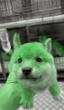 Green Dog Dog GIF - Green Dog Dog Greener GIFs