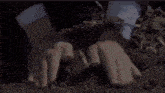 a man wearing a watch is planting a tree in the dirt .