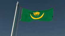 Mughal Empire Flag GIF