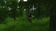 a blurry picture of a person walking through a grassy field with trees in the background
