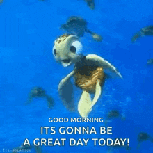 a turtle is swimming in the ocean with the words `` good morning its gonna be a great day today ''