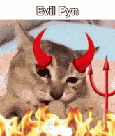 a cat with devil horns and a trident is laying on a bed