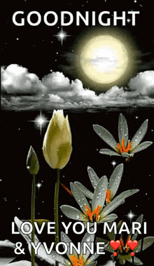Good Night Starry Night GIF - Good Night Starry Night Flower GIFs