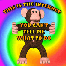 This Is The Internet You Can'T Tell Me What To Do GIF - This Is The Internet You Can'T Tell Me What To Do Monkey GIFs