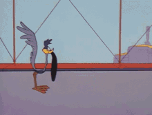 Wile E Coyote Looney Tunes GIF - Wile E Coyote Looney Tunes Road Runner GIFs