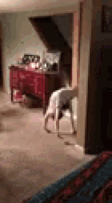 a person is doing a handstand in a living room next to a dresser .