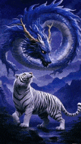 a white tiger looking up at a blue dragon in the sky