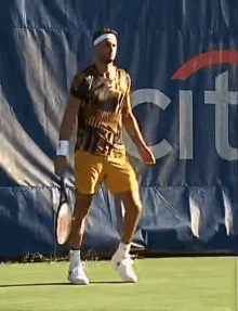 Grigor Dimitrov Tennis GIF
